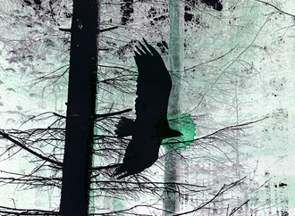 
                                                            lars vegas denmark 1