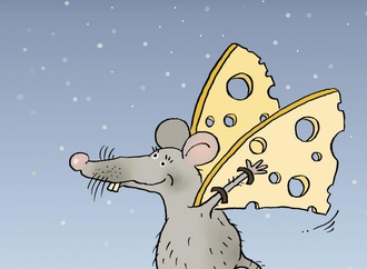 
                                                            vasiliy alexandrov 15