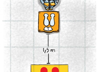 
                                                            mansoure dehghani 34