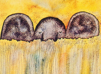 
                                                            fernando puig rosado 13