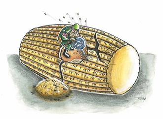 
                                                            elham khoshanjam 4 iran