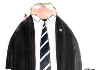 
                                                            ann telnaes sweden 79