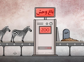 
                                                            payam pourfallah iran 1