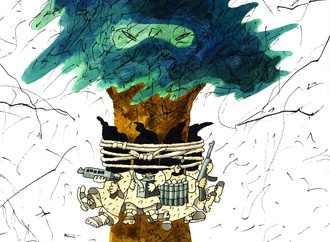
                                                            toku kitawaki japan