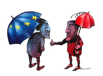 
                                                            jozef bendziecha poland 243