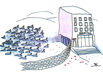 
                                                            pascuta vasile romania