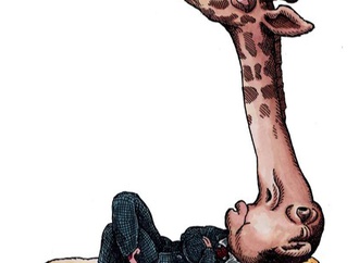 
                                                            sinaloa mexico 2019 42