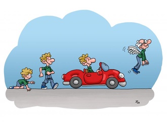 pedro ribeiro ferreira 6