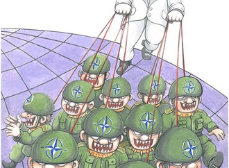 
                                                            miro stefanovic serbia 24