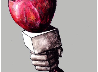 
                                                            michel moro gomez cuba 30