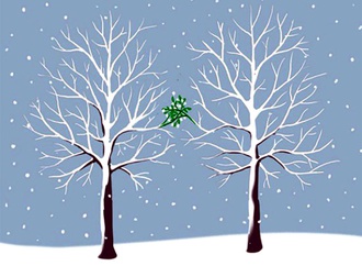 
                                                            necdet yilmaz turkey 107