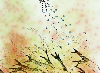 زاگرس در آتش