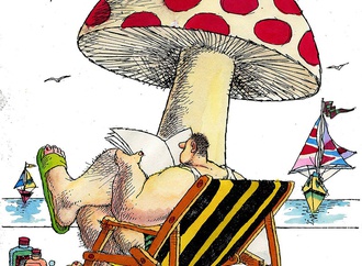 
                                                            lido contemori italy 26