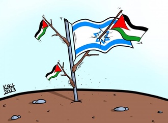 
                                                            morad kotkot palestina 1