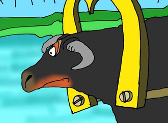 
                                                            tomasz woloszyn poland 1