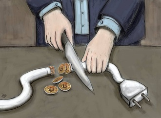 reyhaneh karimian 13