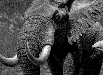 
                                                            ricardo martinez chile 7