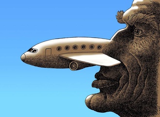 
                                                            medi blortaja albania 3