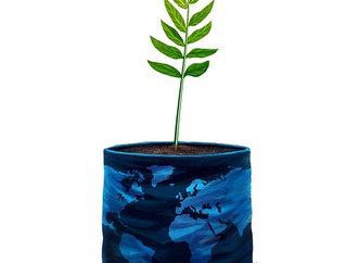 
                                                            pedro x molina nicaragua 22