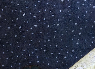 
                                                            mohammad ali khalaji iran 13