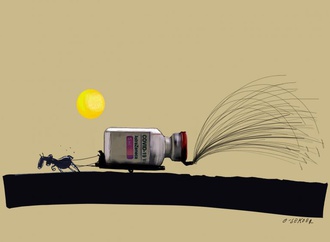 
                                                            luc descheemaeker 13