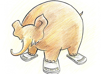 
                                                            muhammet sengoz turkey 37