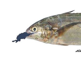 
                                                            adan iglesias toledo cuba 65