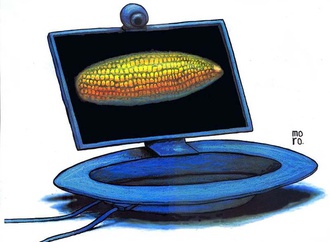 michel moro gomez cuba 72