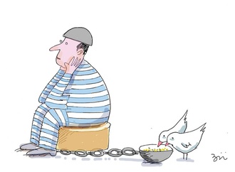 
                                                            masoud ziaei zardkhashoei16