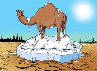 
                                                            alaa allagta palestina 1