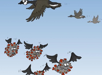 
                                                            omikrona migracija
