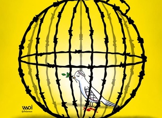 
                                                            ameen alhabarah saudi arabia 20
