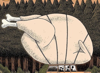 
                                                            tom gauld england