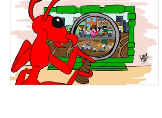 
                                                            fanzeres portugal 2019 12