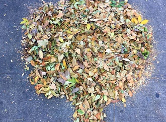 
                                                            necdet yilmaz turkey 165