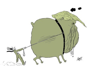 
                                                            ramses morales izquierdo cuba 16