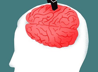 
                                                            carlos alejandro chang falco cuba 4