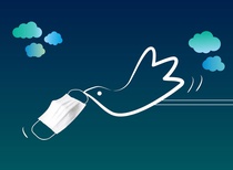 دومین مسابقۀ بینالملی کارتون ترکیه، 2021