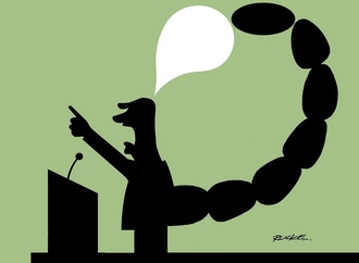 
                                                            raimundo rucke santos souza brazil 14