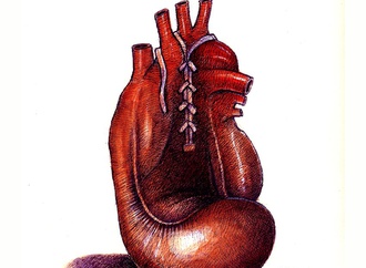 
                                                            murat ahmeti kozovo 105