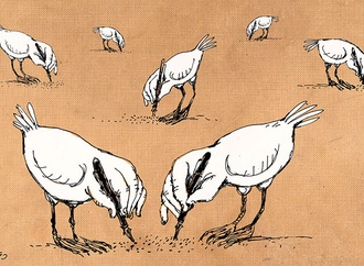 بدون شرح
