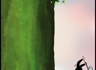 farhad foroutanian 6