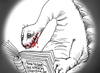 
                                                            klaus pitter austria 8