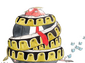 
                                                            ann telnaes sweden 76