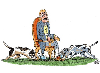 
                                                            alen lauzan falcon 8