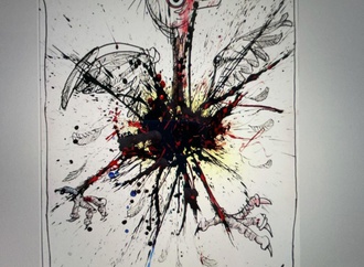 
                                                            ralph steadman 5