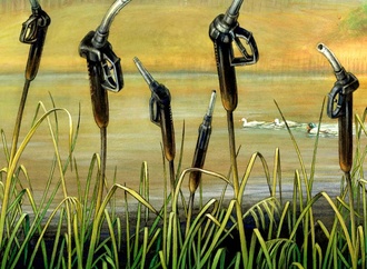 
                                                            krzysztof grzondziel poland 8