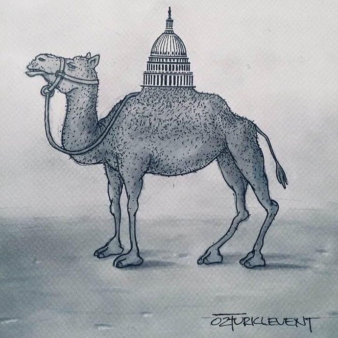 By: احمد اوزتورکلونت 