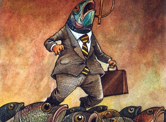 
                                                            dario castillejos lazcares mexico