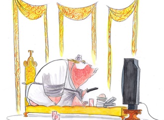 
                                                            ann telnaes sweden 31
